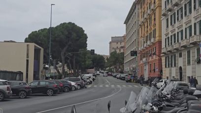 Corso Podestà, si allungano i tempi per il dissequestro dei pini