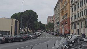 Corso Podestà, si allungano i tempi per il dissequestro dei pini