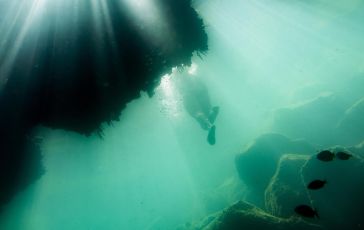 Maldive, pronta la missione ad alto rischio degli specialisti finlandesi per recuperare i corpi delle vittime nella grotta