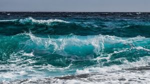 Darsena, gli spazi del Metelino destinati a innovazione e formazione legate al mare