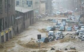 Liguria, alluvione 2024. Nuovi ristori per l’agricoltura: 1,3 milioni alle aziende di Albenga e Cerials