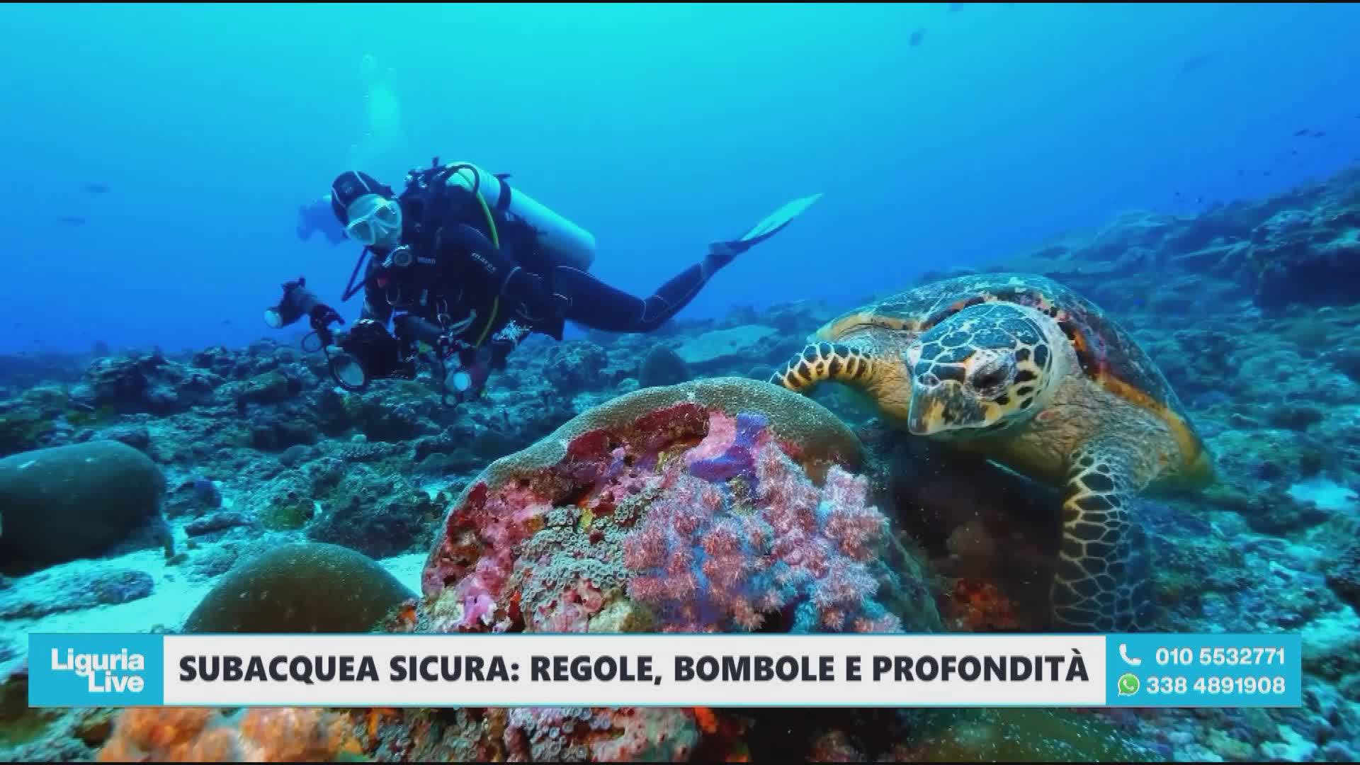 Maldive, l'istruttore subacqueo Campo a Telenord: "Nella subacquea non si improvvisa nulla"
