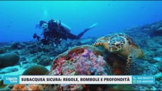 Maldive, l'istruttore subacqueo Campo a Telenord: "Nella subacquea non si improvvisa nulla"
