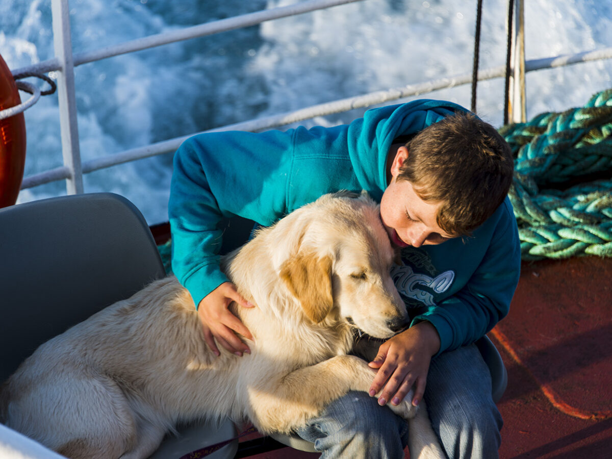 Liguria, primo passo per favorire gli animali d'affezione negli ospedali pubblici