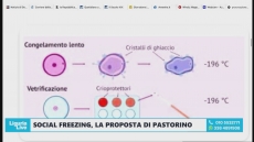 Liguria, proposta per il congelamento degli ovuli gratuito, Pastorino e Venturini a Telenord : “Più libertà di scelta per le donne”
