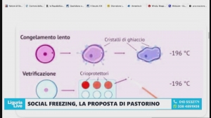 Liguria, proposta per il congelamento degli ovuli gratuito, Pastorino e Venturini a Telenord : “Più libertà di scelta per le donne”