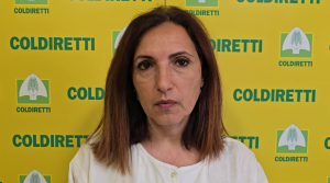 Fermo pesca 2025, Borriello (Coldiretti): “Via libera alle indennità, ora servono strumenti concreti per salvare il settore”