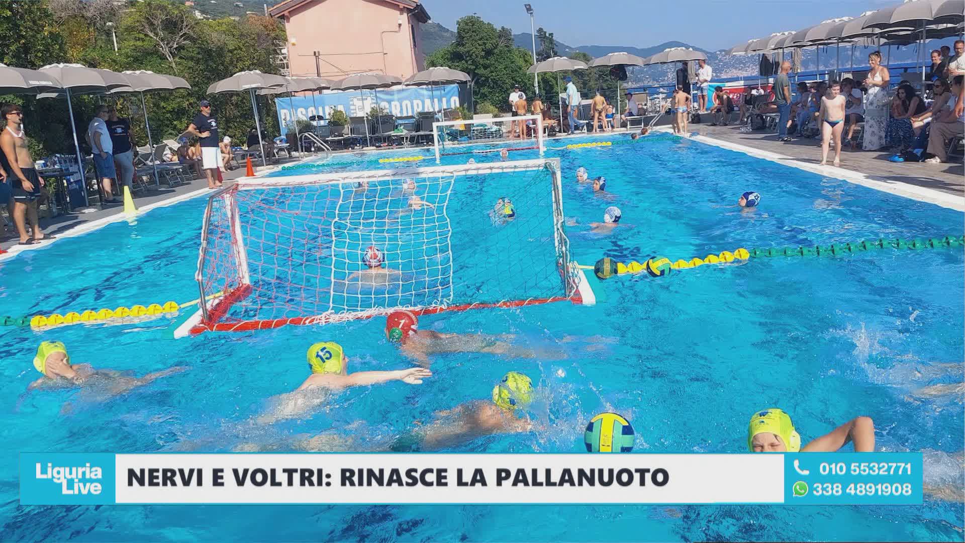 Pallanuoto, Nervi e Voltri ripartono dai giovani: nuove squadre e piscine rilanciano una tradizione ligure