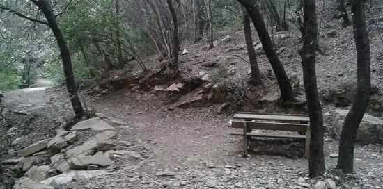 Genova, ancora un'aggressione alla Madonna del Monte: tentata violenza ai danni di una 23enne