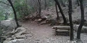 Genova, ancora un'aggressione alla Madonna del Monte: tentata violenza ai danni di una 23enne
