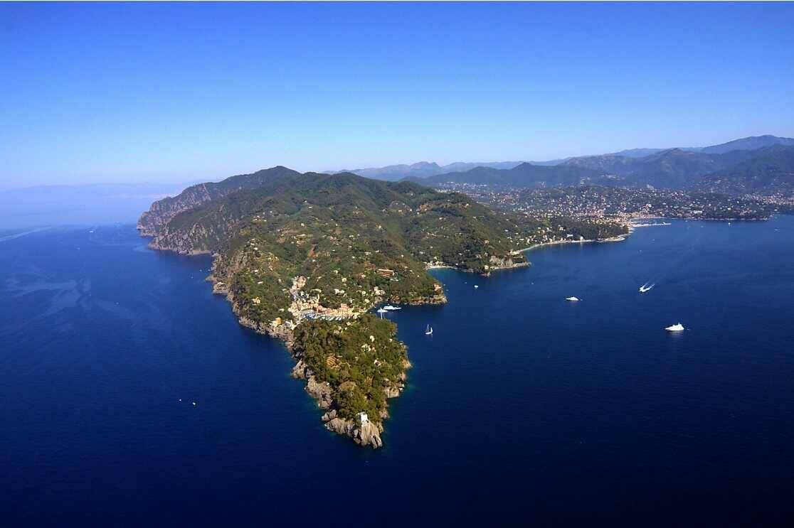 Portofino, il santuario dei delfini: fino a 350 esemplari di tursiope stabili nella riserva marina
