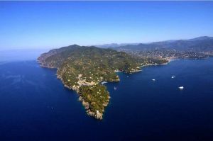 Portofino, il santuario dei delfini: fino a 350 esemplari di tursiope stabili nella riserva marina
