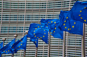Ricerca ecosostenibile, dall'Ue 838 milioni per 319 progetti d'eccellenza: l'Italia settima per finanziamenti, terza per numero di scienziati