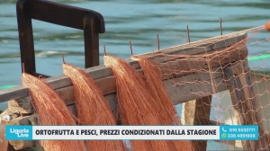 Ortofrutta e comparto ittico: grande caldo e andamento dei mercati, Coldiretti vigila sui prezzi