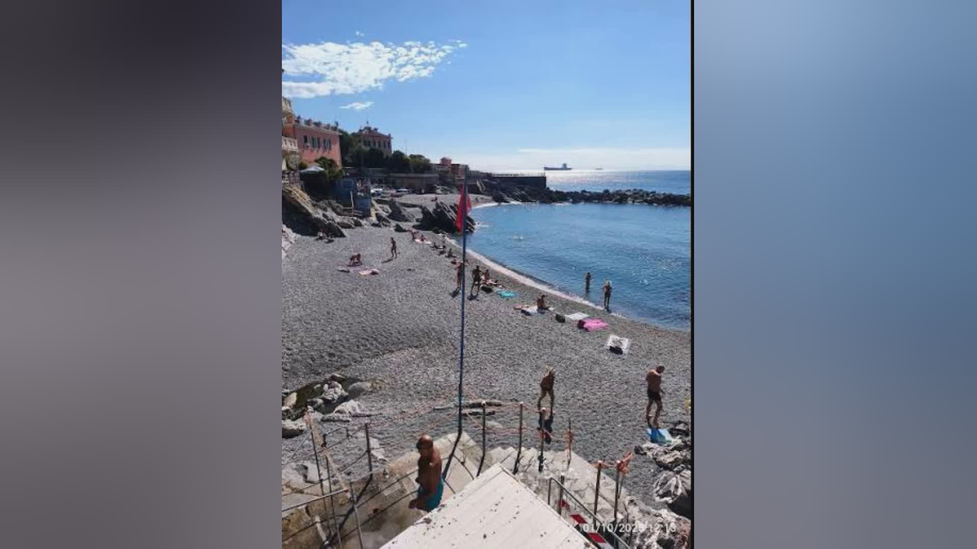 Genova, fiorisce l'alga Ostreopsis Ovata a Quinto Bagnara: attivata l'allerta