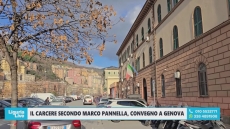 Carcere e Costituzione: avv. Olcese a Telenord parla dell'eredità di Marco Pannella