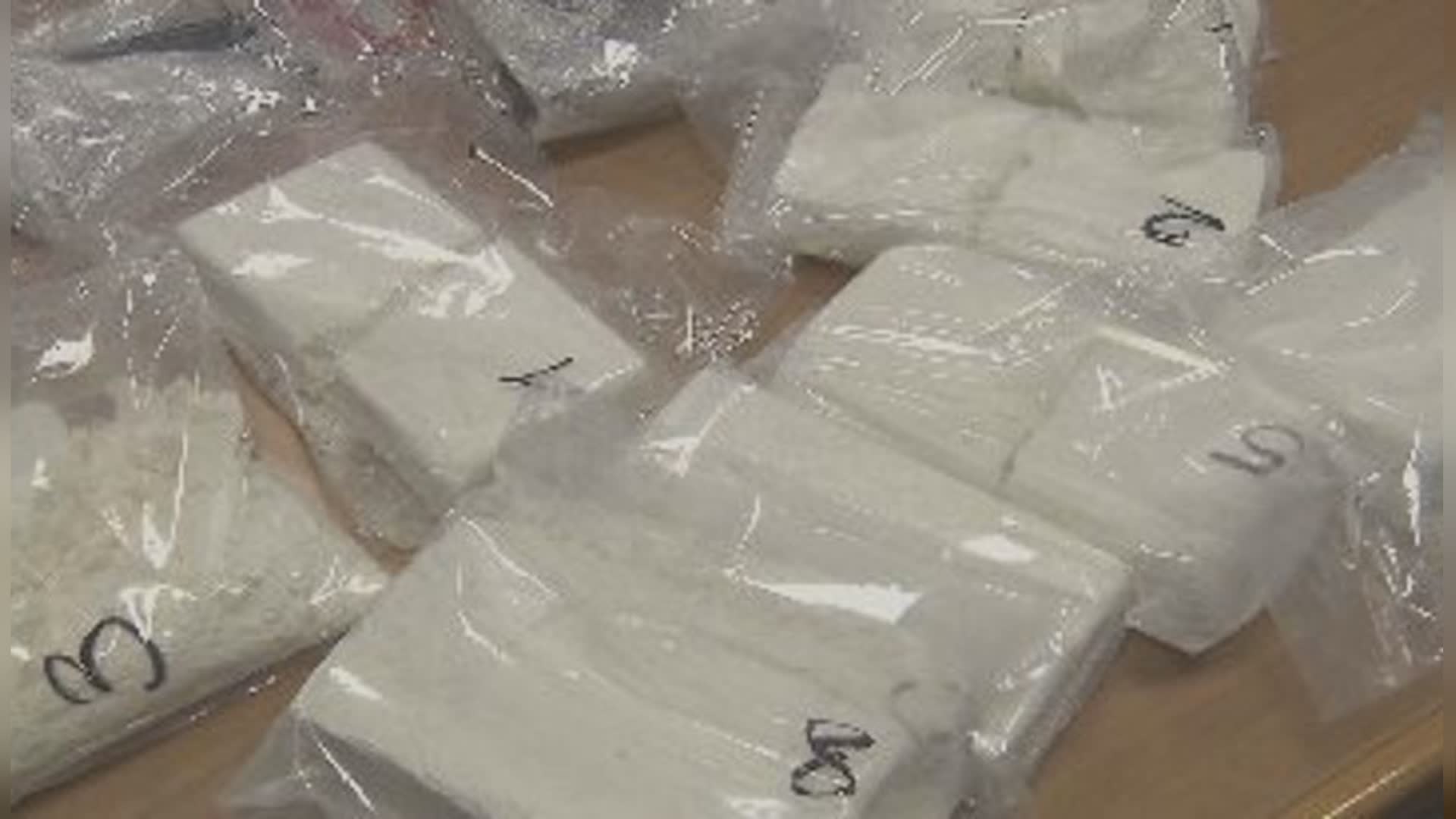 GdF-Dogane, maxi sequestro di cocaina al porto di Vado Ligure: oltre 3 quintali nascosti in un carico di tronchi