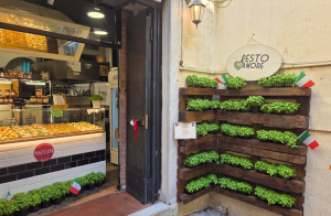 Pesto per Amore inaugura un nuovo spazio verde in via di Ravecca portando il basilico nel cuore di Genova