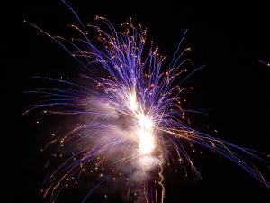 Riva Trigoso sceglie i fuochi d’artificio silenziosi: il Bagnun diventa a misura di cani e gatti