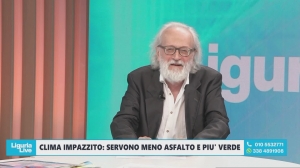 "Più alberi, meno cemento": Paolo Becchi a Telenord, proposta per un'ecologia urbana tra Celentano e Heidegger