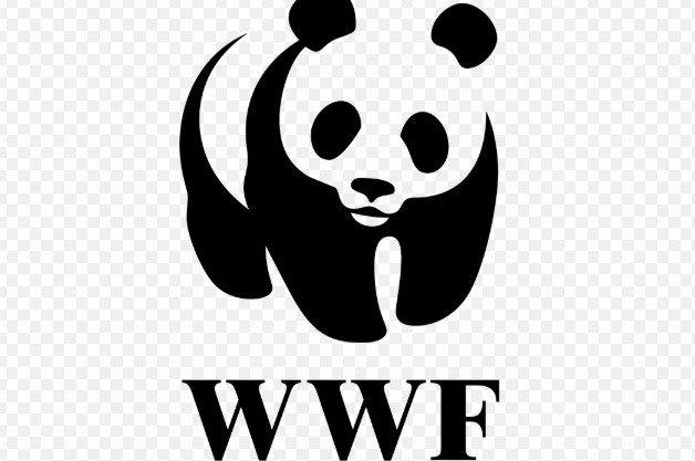 WWF Italia celebra 60 anni: tutela della natura e transizione energetica al centro delle sfide future