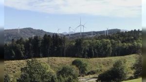Rinnovabili più convenienti del gas: nel 2025 oltre il 90% dei nuovi impianti costa meno