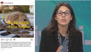 Genova, Gibelli consulente LGTBQIA+ del Comune, contro i cittadini che hanno manifestato per la sicurezza: "Sono usciti dalle fogne"