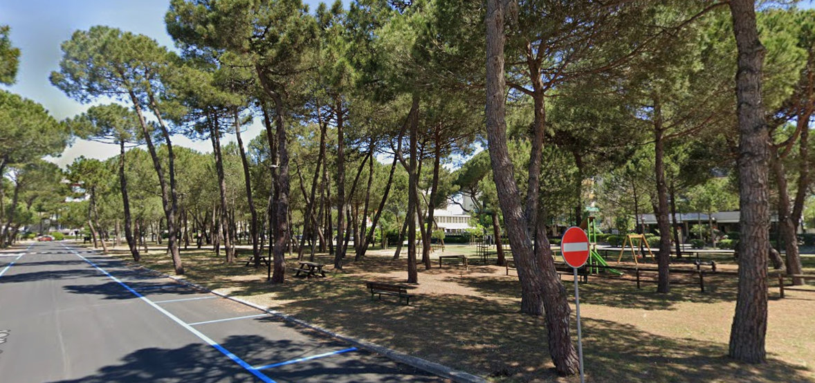 Milano Marittima, rinasce l’Anello del Pino: nuovi alberi, giochi e percorsi ecosostenibili