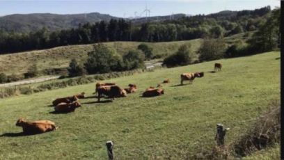 Agricoltura ecosostenibile: a Riva del Garda nuove strategie per proteggere acqua e suolo