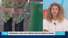 Mercati rionali e caldo estremo, l’iniziativa di Serena Finocchio (Pd) per tutelare commercianti e cittadini