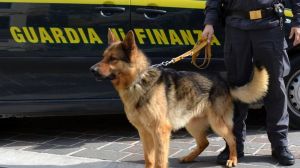 Cani delle forze dell'ordine, proposta di legge della Pucciarelli per riconoscimenti ufficiali al merito