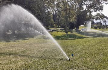 Genova, ondata di caldo, ASTer: "Le piante soffrono il caldo, non sempre la mancanza d'acqua". In città attivi 87 impianti di irrigazione automatica