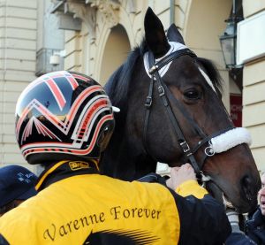 Addio a Varenne, trottatore dei record: il 'Capitano' aveva 31 anni