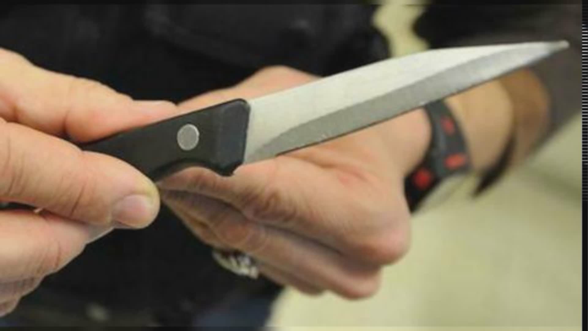 Albenga: litiga col fratello e lo ferisce a colpi di mannaia, arrestato