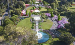 Varese, PGT, Europa Verde: "Una città più verde, fresca ed ecosostenibile"