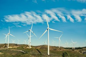 Amazon accelera sull’eolico in Svezia: accordi per quasi 200 MW di energia rinnovabile