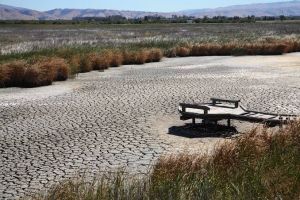Federlogistica: “Con il fiume Reno in secca un’occasione (tutta da sprecare) per i porti italiani”