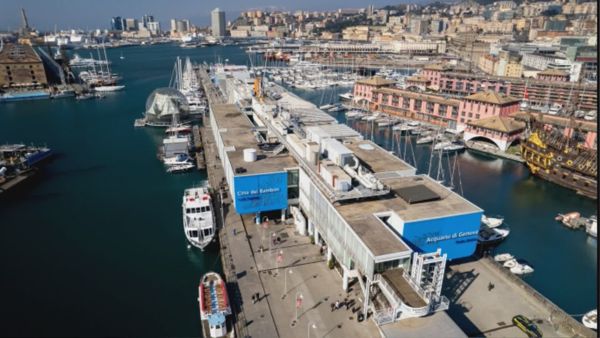 Genova, proseguono sino al 13 settembre le aperture serali dell'Acquario