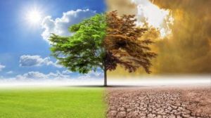 Acquisti pubblici ecosostenibili, una scelta che conviene anche senza obblighi