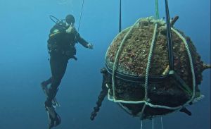 Framura: palombari Comsubin neutralizzano mina e siluro della Seconda Guerra Mondiale