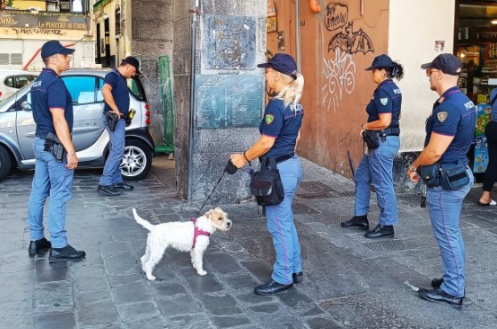 Genova, controlli anticrimine della polizia nei caruggi: verifiche nei locali, elevate sanzioni e identificate 90 persone