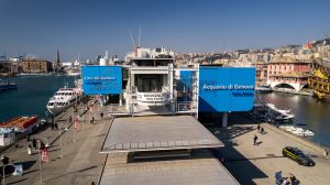 Acquario di Genova, tariffa speciale per i residenti in Liguria sino al 30 settembre