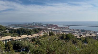 Porto di Pra’, i comitati del Ponente contro l’ampliamento: "Non c’è più spazio, basta sacrificare i quartieri"