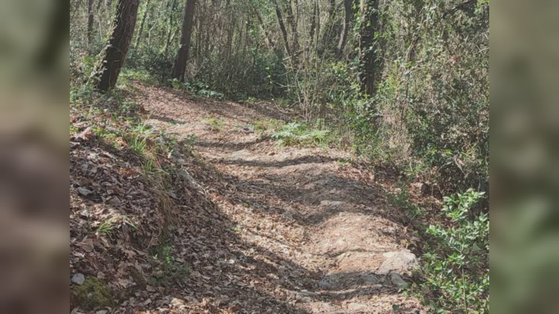 Castiglione Chiavarese: scivola durante battuta di caccia e si ferisce col fucile