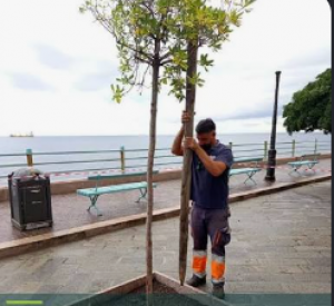 Rapallo, rinnovata la collaborazione con sette associazioni per la cura delle aree verdi