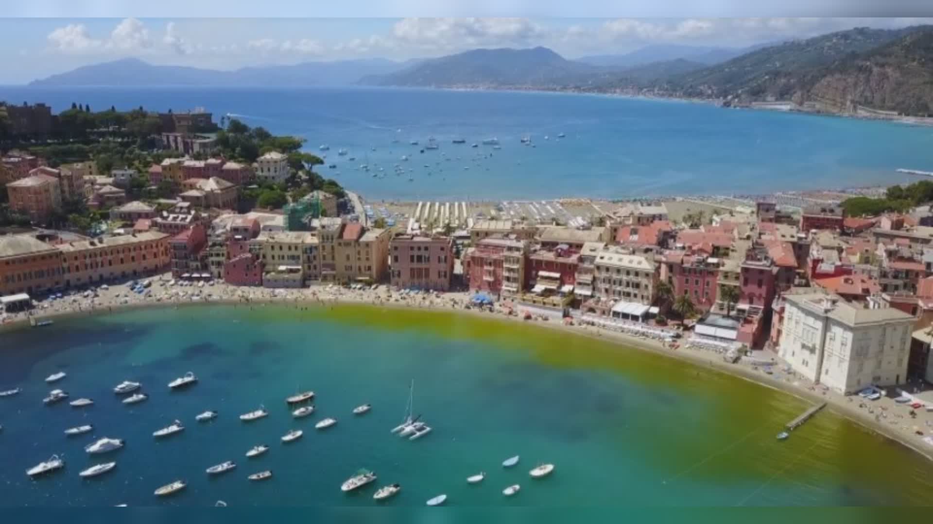 Sestri Levante, quintali di rifiuti recuperati dai fondali del porto, tra cui decine di copertoni e plastica