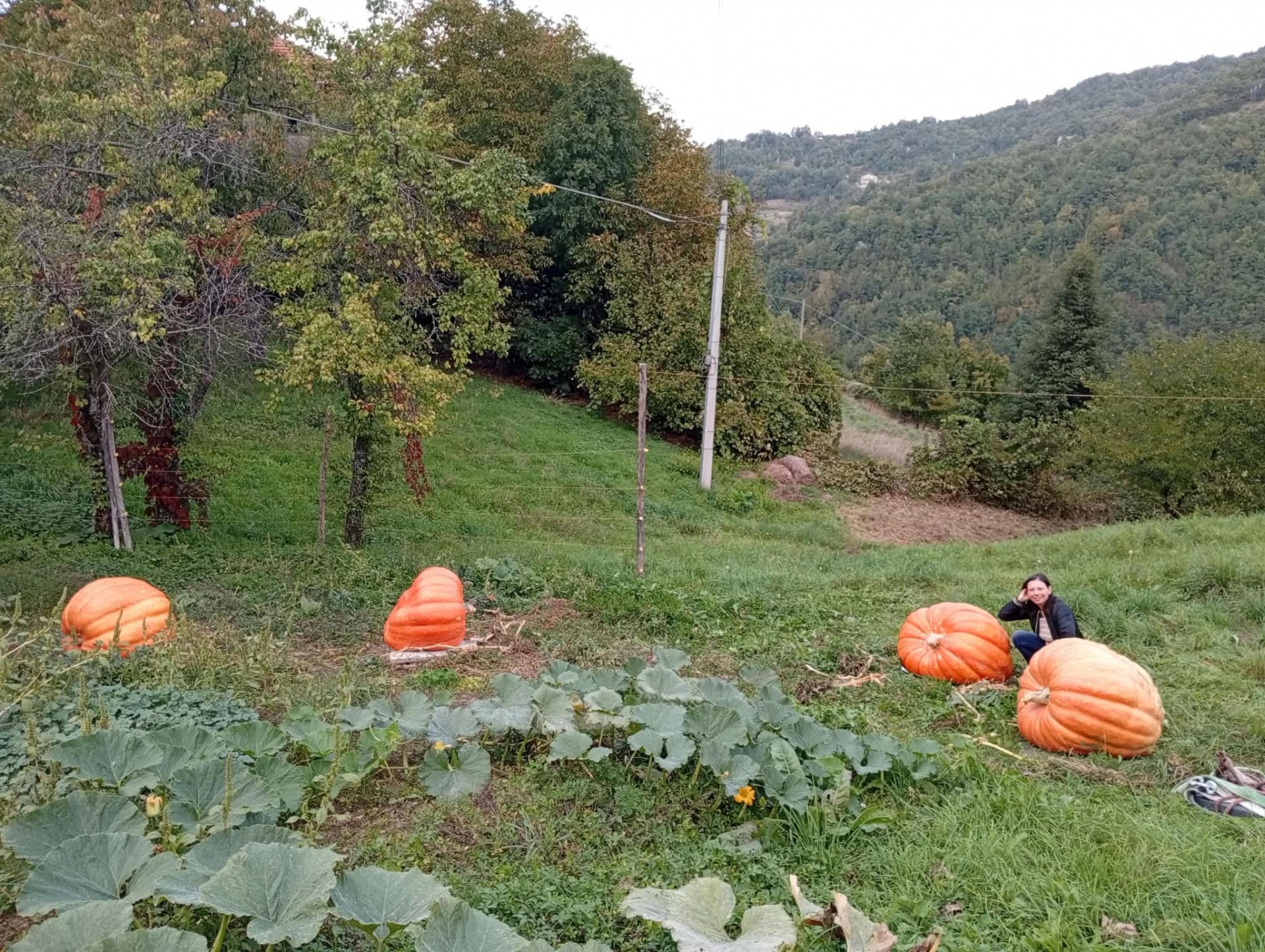 Benvenuti in Liguria dal tempio della bontà alla scoperta di Murta (e non solo zucca...)