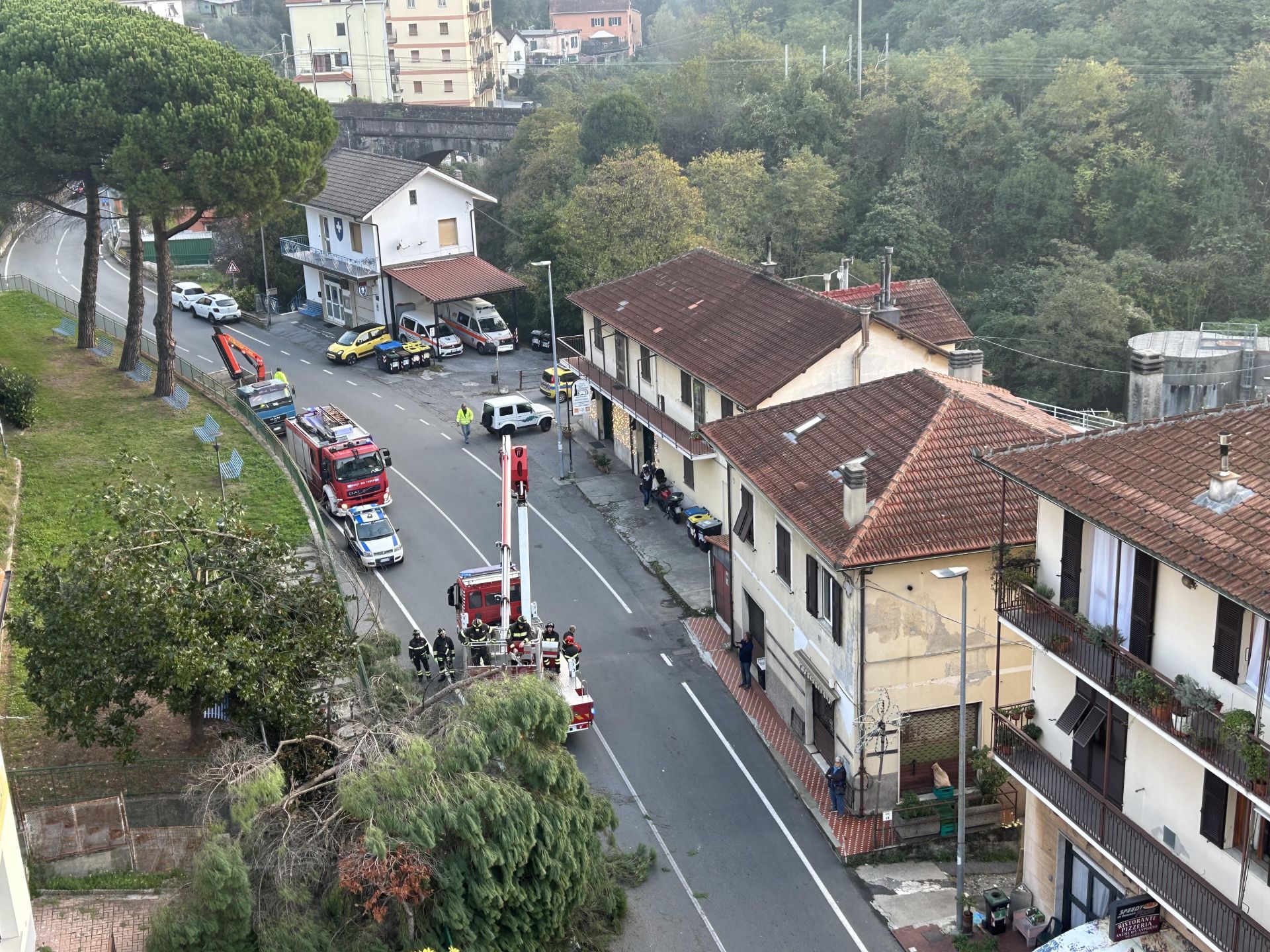 Mignanego: cade albero su strada statale, danneggiate due auto in sosta 