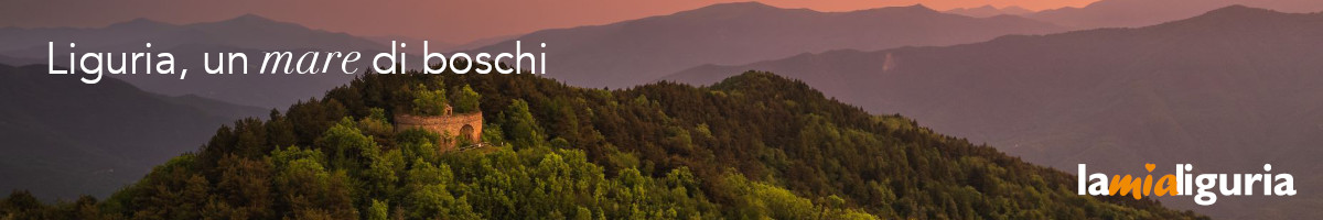 Boschi Liguria