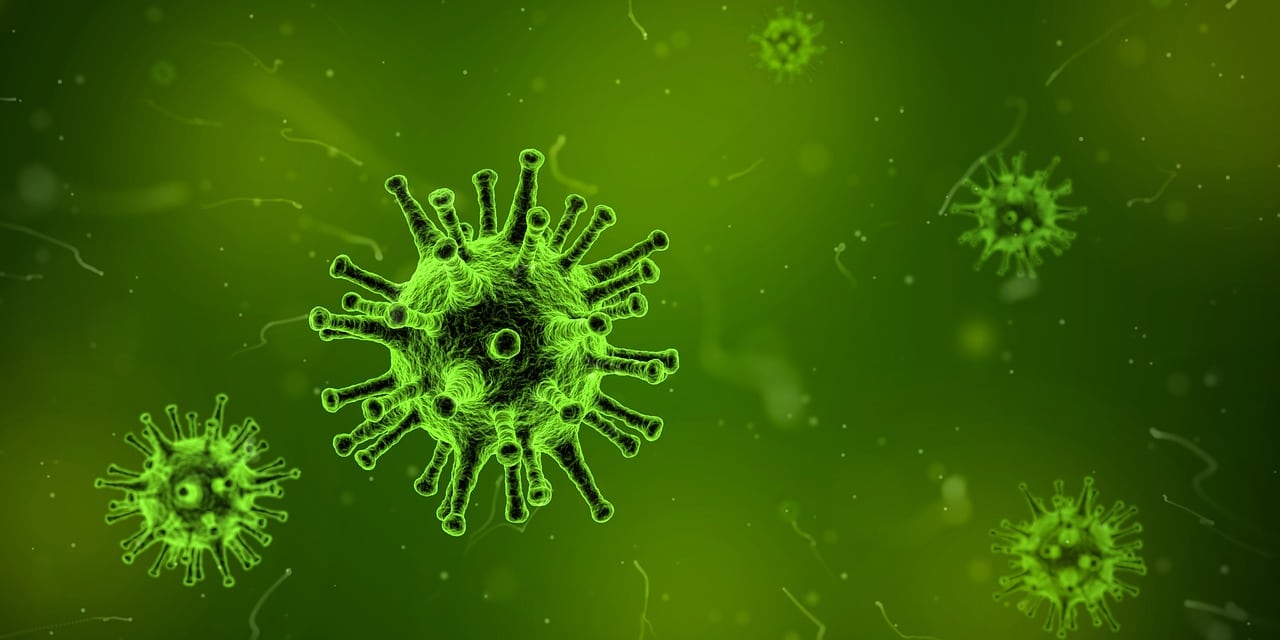 Coronavirus, un software italiano studia varianti virus